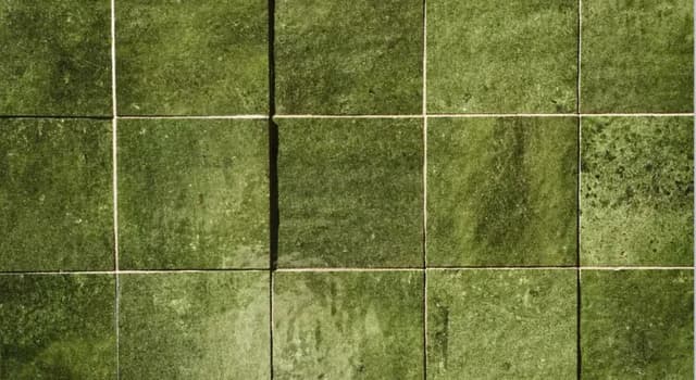 Green handmade-look ceramic tiles for interior walls