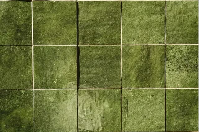 Green handmade-look ceramic tiles installed on an indoor feature wall